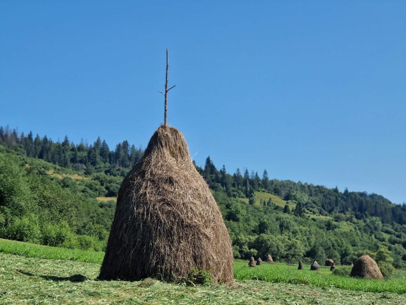 Вілла Річка Eksteriør bilde